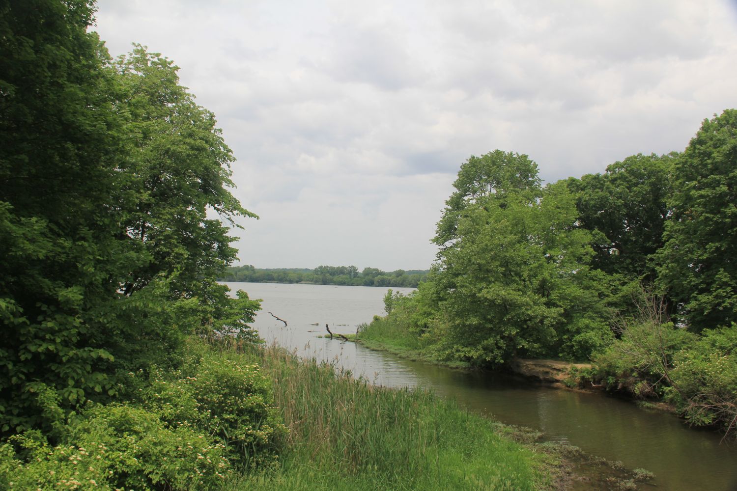 Starved Rock 